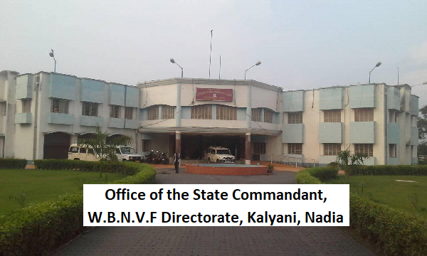 NVF