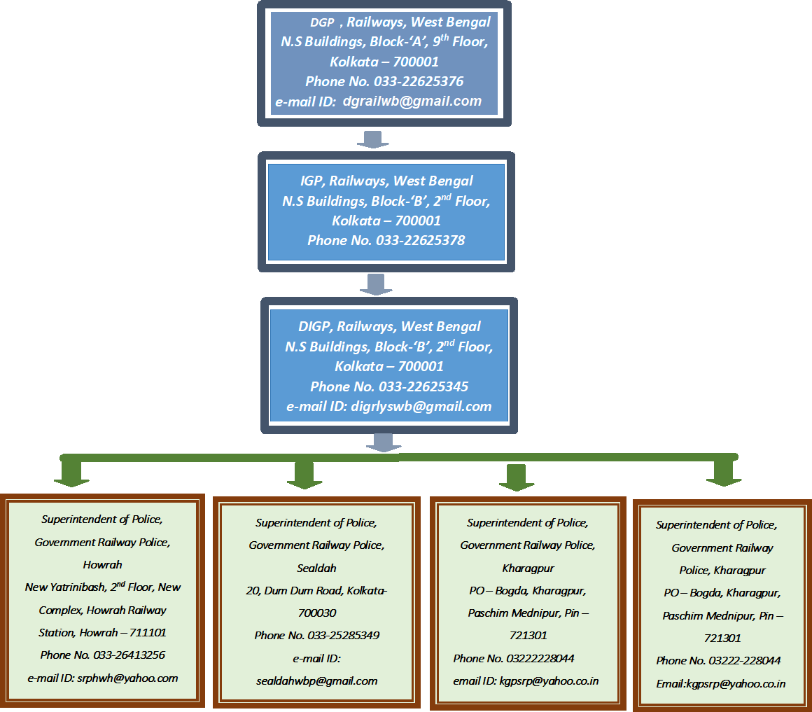 Organization Structure